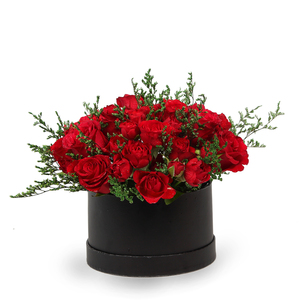 Drivu Red Roses Baby Roses in Black Box (BO1)