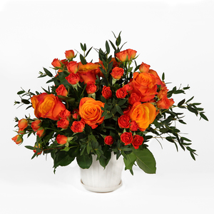 Drivu Orange Rose in Vase (V1)