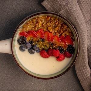 Drivu Yogurt Bowl