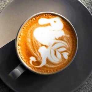 Drivu Midnight Latte