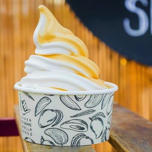 Drivu Mix Ice Cream