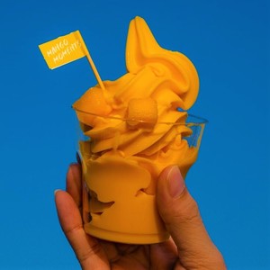 Drivu Mango Softie
