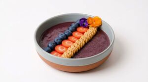 Drivu Classic Acai