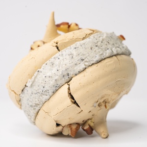 Drivu Black Sesame Ice Cream Pavlova Sandwich