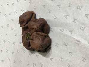 Drivu Cookies (5 pieces)