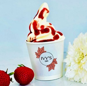 Drivu Strawberry Cheese Ice Cream