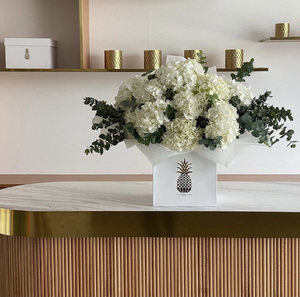 Drivu Hydrangea Garden