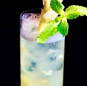 Drivu Pineapple Ginger Blend