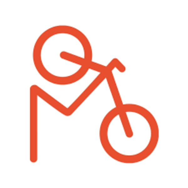 Drivu Red Fruits Ice Tea